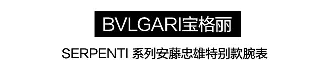 表圈竟然也这么绿！一片绿绿绿绿绿~(图29)